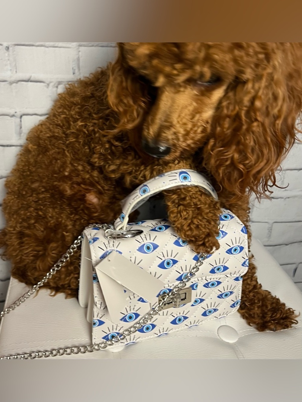 NWT Vegan Evil Eye Crossbody Bag (modeled by Falleen)